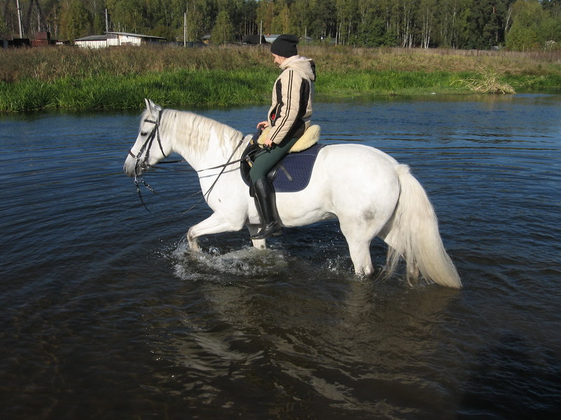 IMG_1249.jpg1.jpg"%20height="600"%20width="800